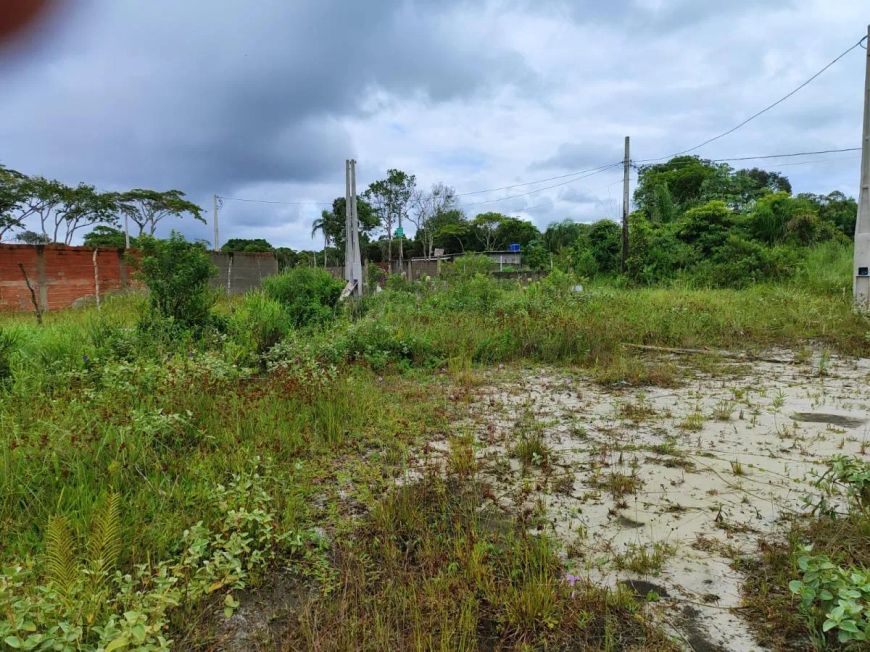 Terreno para Venda em Itanhaém, Parque Augustus