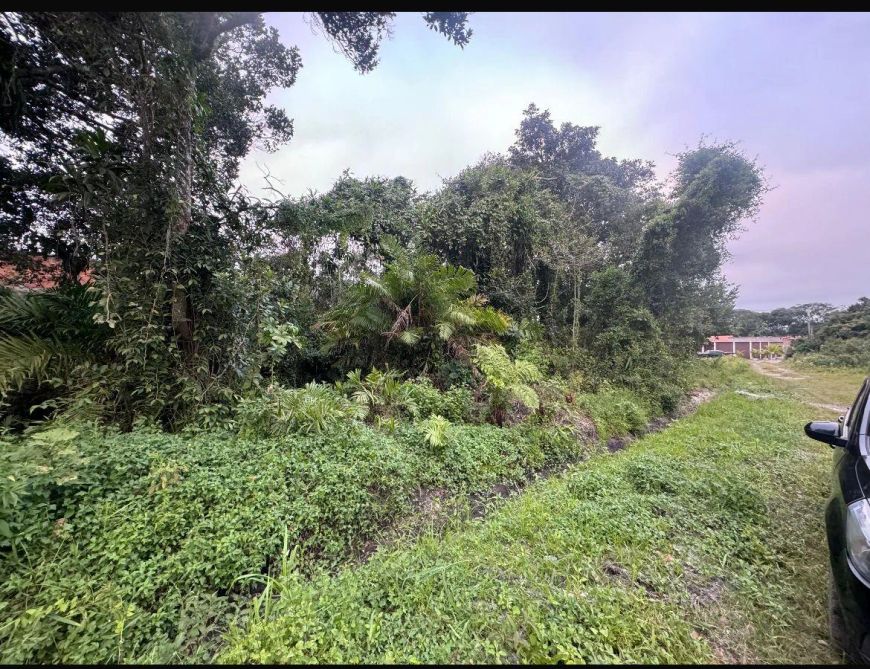 Terreno para Venda em Itanhaém, Califórnia