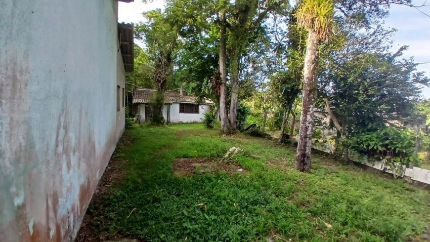 Desperte com o Canto dos Pássaros – Sua Nova Chácara no Litoral Sul 🐦