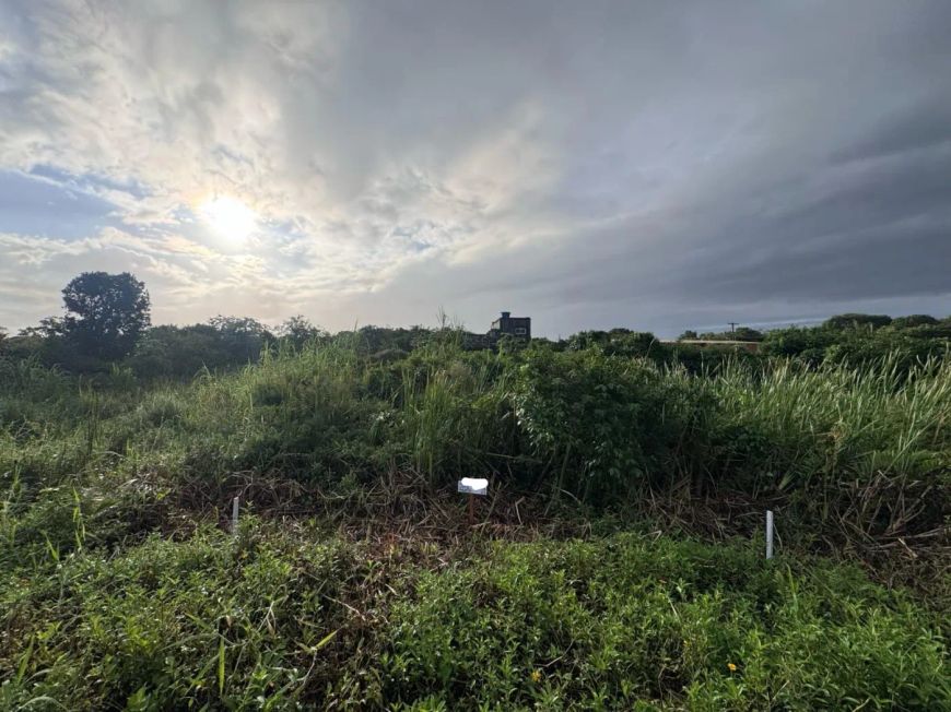 Terreno para Venda em Itanhaém, Jardim Fenix