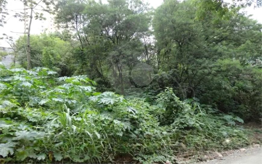 Terreno à venda em Vila Suzana - SP