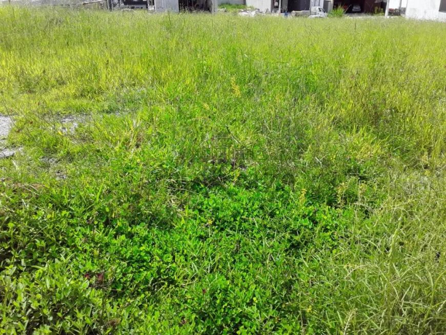 Terreno em Condomínio - Malibu Residencial - Caçapava - 250m².
