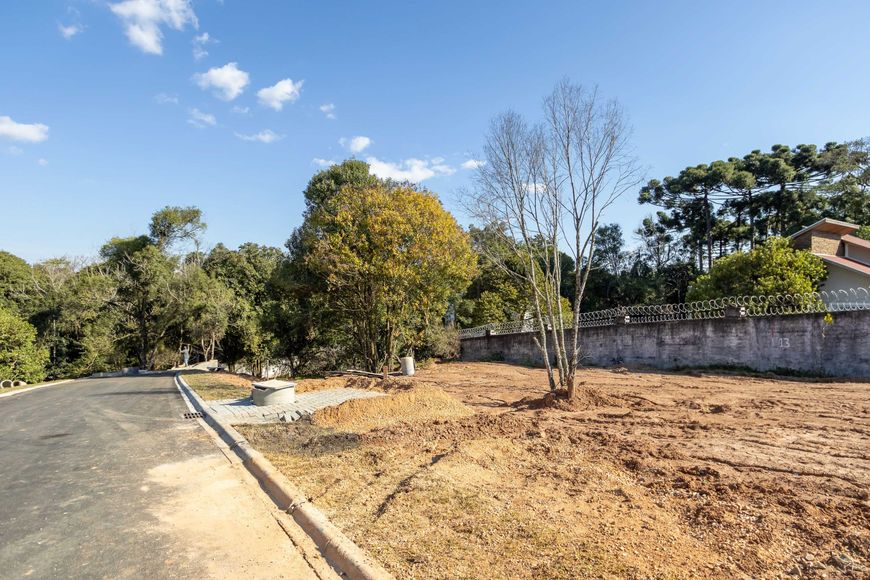Terreno à venda no São Lourenço ARYA1