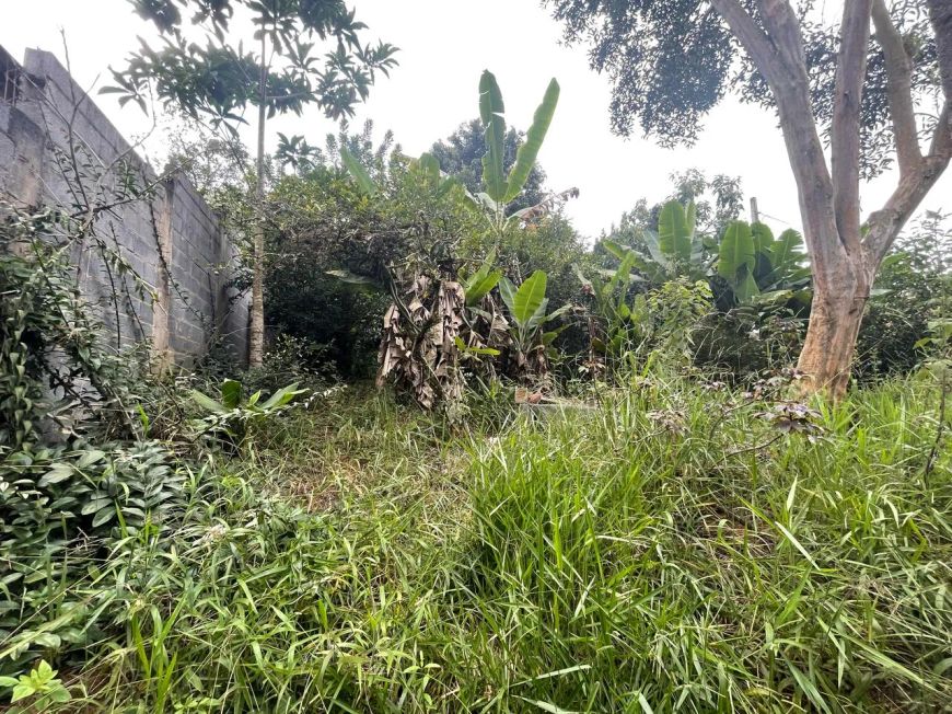 TERRENO com 2 Imóveis a Venda em SR