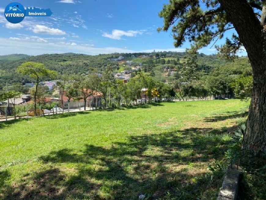 Terreno com Ótima Topografia