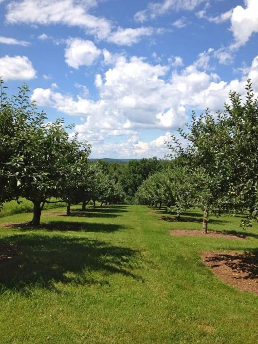 Novidade direto de São Roque, terrenos de 1.000m² a venda!