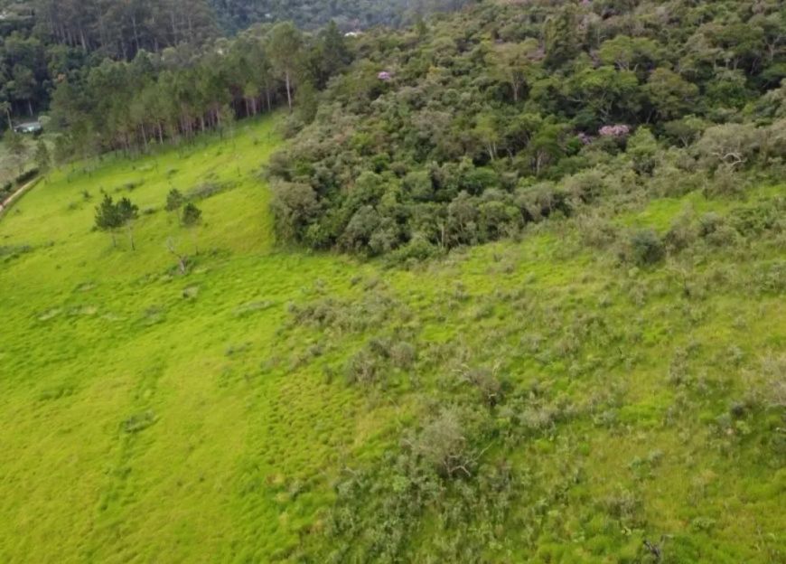 Oportunidade de investimento: terrenos em São Roque com valorização garantida!