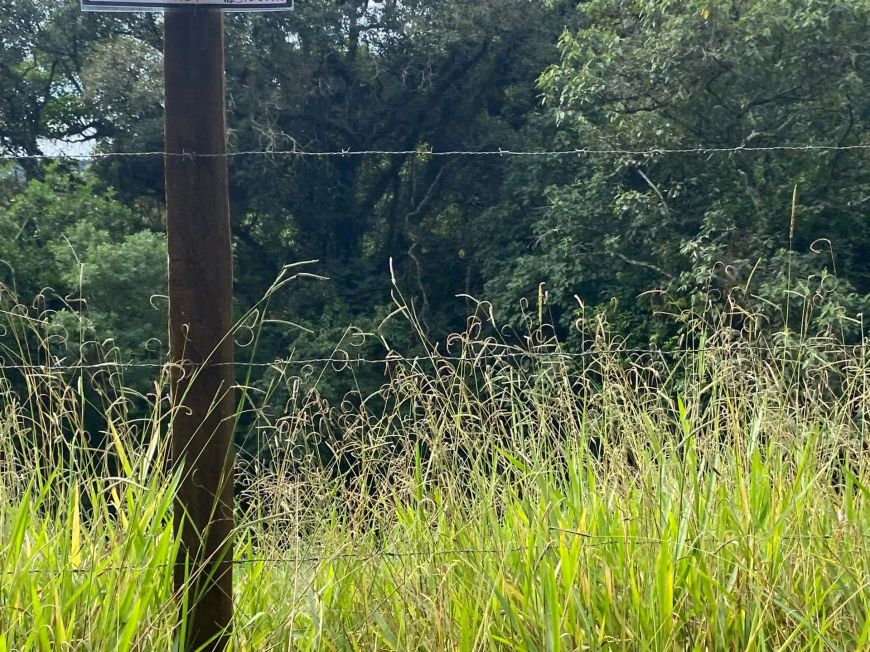 VENDA! TERRENO PARA CHÁCARA EM SÃO ROQUE-SP.