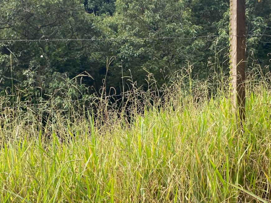 VENDA! TERRENO PARA CHÁCARA EM SÃO ROQUE-SP.