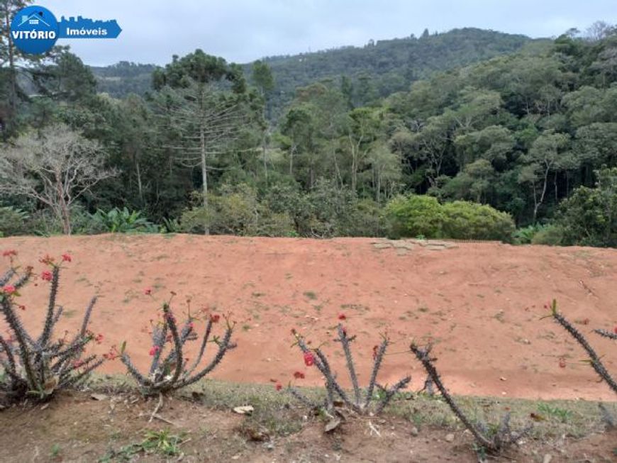 Terreno com Linda Vista