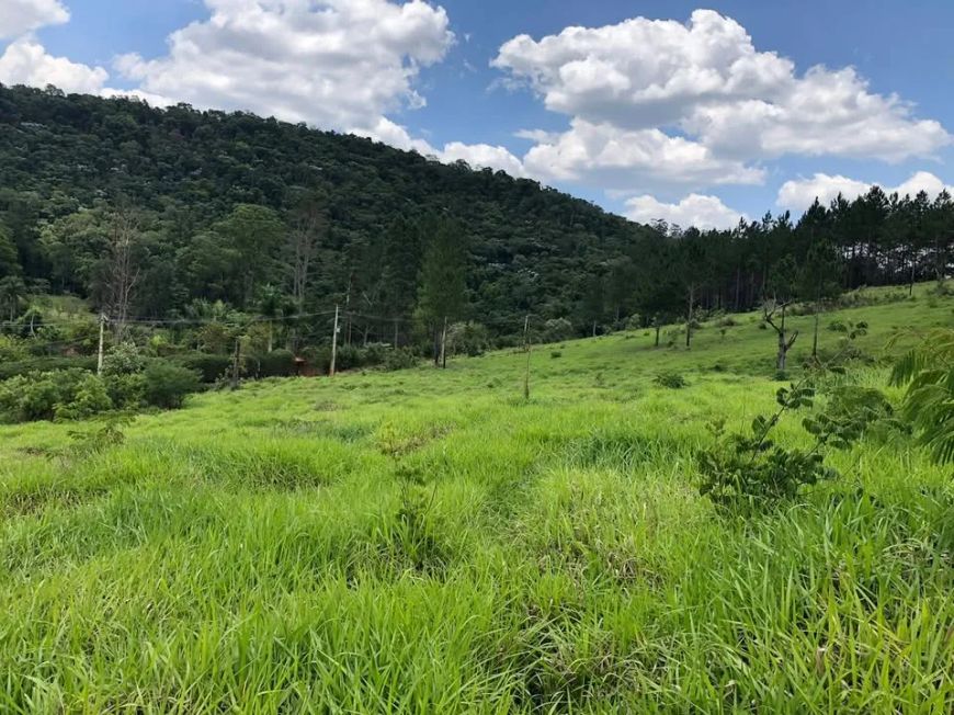 Casa de condomínio para venda com 1000 metros quadrados em Saboó - São Roque - SP