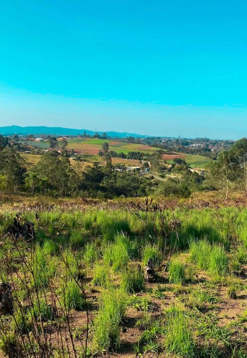 Oportunidade Única em São Roque: Terrenos Amplos com 1000m² e Infraestrutura Completa!