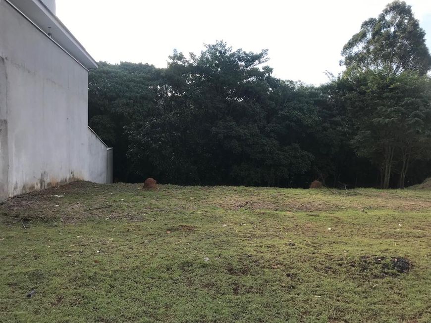 Shangrila - São Roque