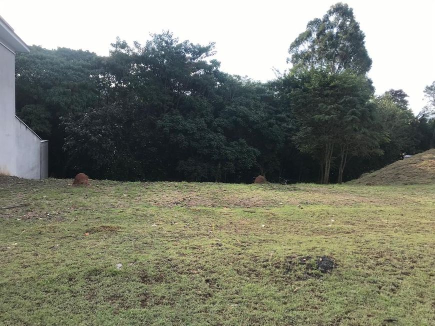 Shangrila - São Roque