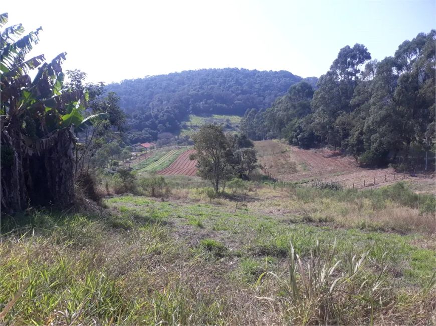 Terreno à venda em Centro (canguera) - SP