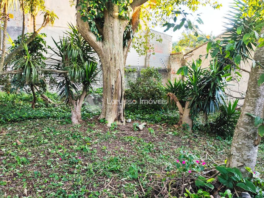 Lote/Terreno para venda tem 600 metros quadrados em Capão da Imbuia - Curitiba - PR