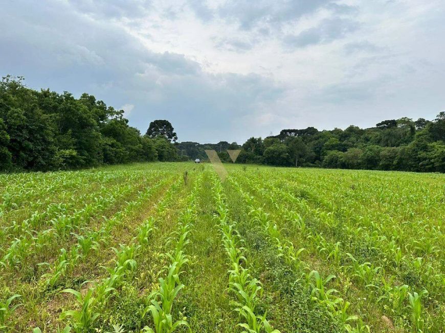 Terreno com 29700m² no Umbará
