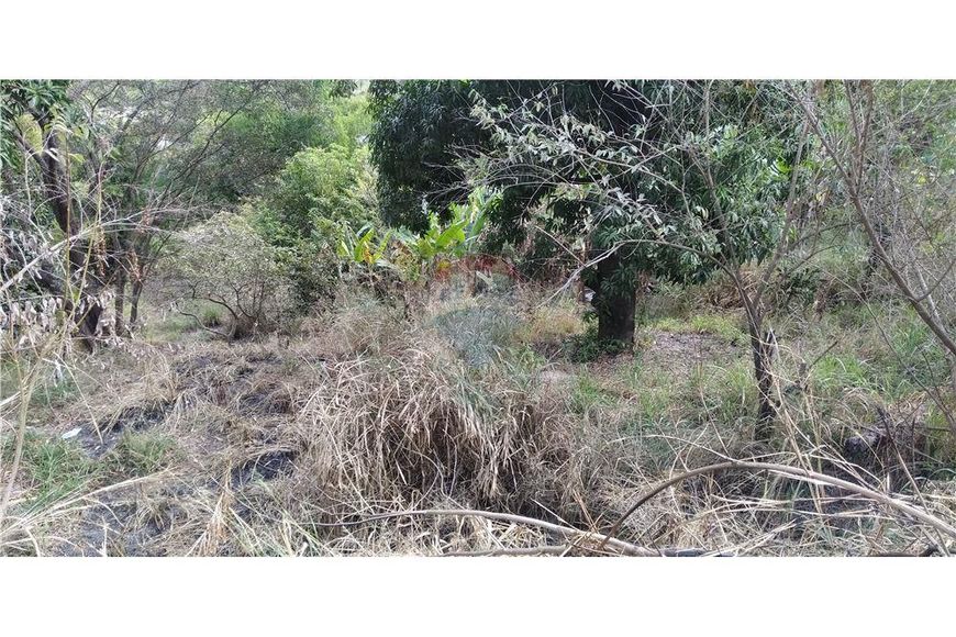 Terreno de 2.430 m² no centro de Santa Luzia
