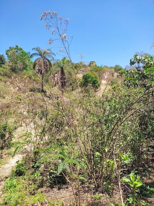 Terreno no Bairro Bonanza - Santa Luzia MG