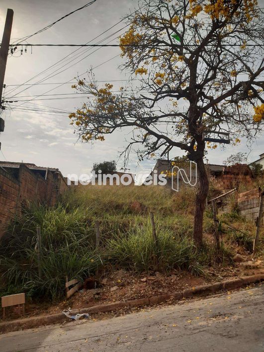 Venda Lote-Área-Terreno Maria Adélia Santa Luzia