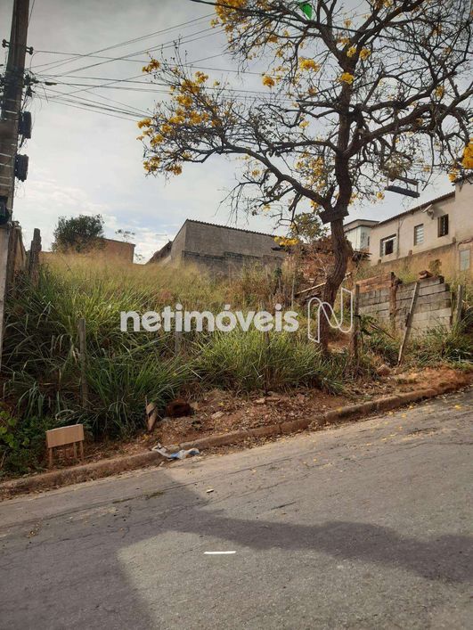 Venda Lote-Área-Terreno Maria Adélia Santa Luzia