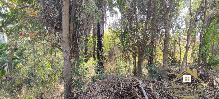 Terreno à venda no bairro Recanto da Mata II - Santa Luzia/MG
