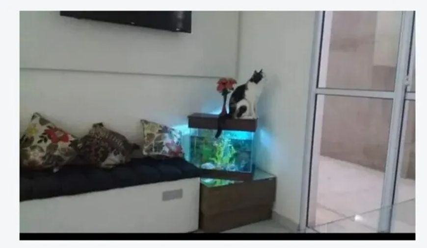 Apartamento com Área Privativa para comprar Novo Centro Santa Luzia