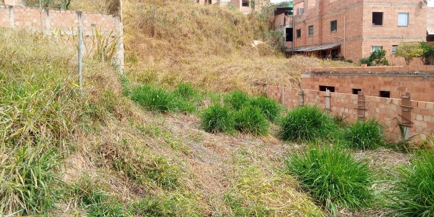 Lote de 250m2 localizado no bairro perola negra , Santa Luzia.