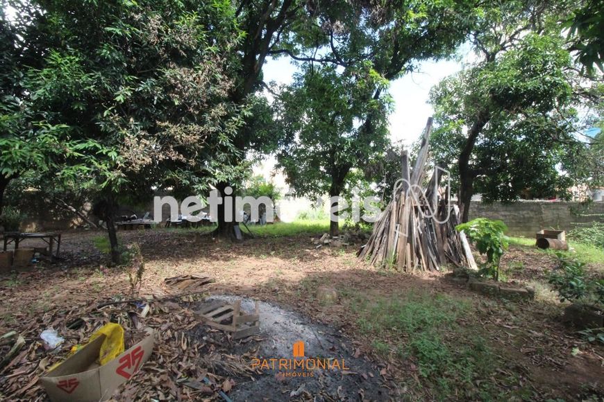 Venda Lote-Área-Terreno São Benedito Santa Luzia
