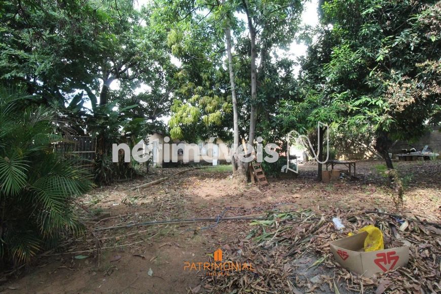 Venda Lote-Área-Terreno São Benedito Santa Luzia