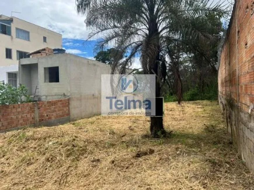 Excelente Lote plano Bairro Liberdade - Santa Luzia