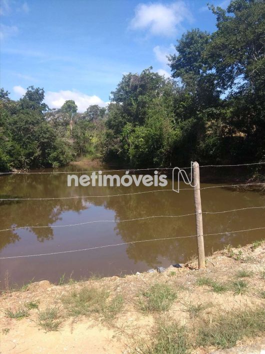 Venda Lote-Área-Terreno Pinhões Santa Luzia