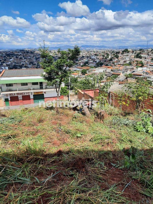 Venda Lote-Área-Terreno São Cosme de Baixo (são Benedito) Santa Luzia