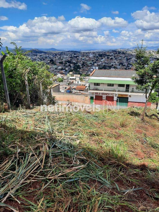 Venda Lote-Área-Terreno São Cosme de Baixo (são Benedito) Santa Luzia
