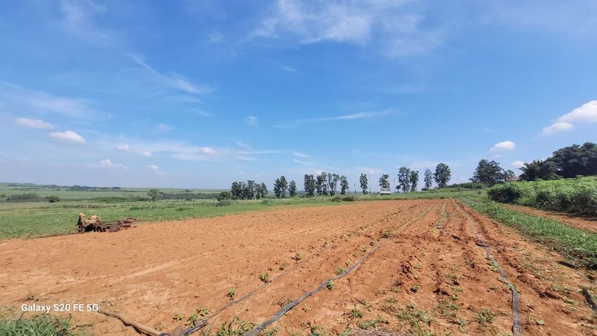 Venda de Rural / Sítio na cidade de Cosmópolis