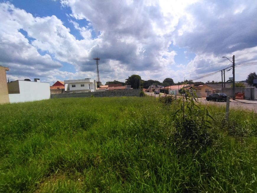 Terreno para venda tem 803 metros quadrados em Butiatuvinha - Curitiba - PR