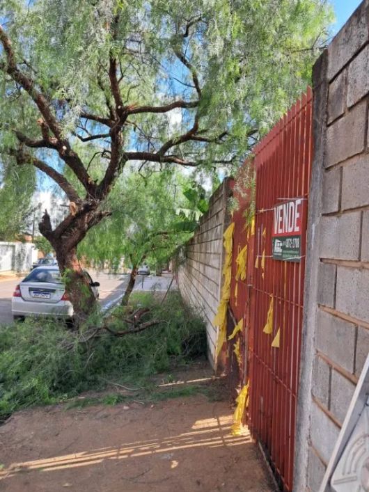 Venda de Terreno / Padrão na cidade de Cosmópolis
