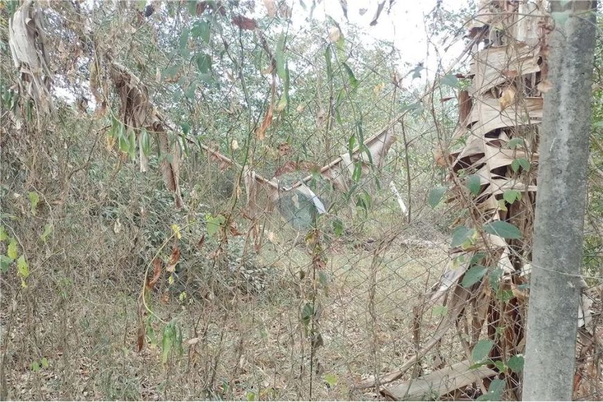Lote para chácara à venda em Cosmópolis-SP