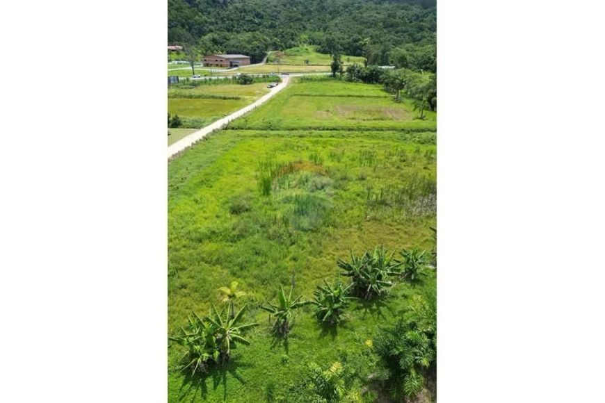 Terreno Industrial em Rio Morto: Oportunidade Única