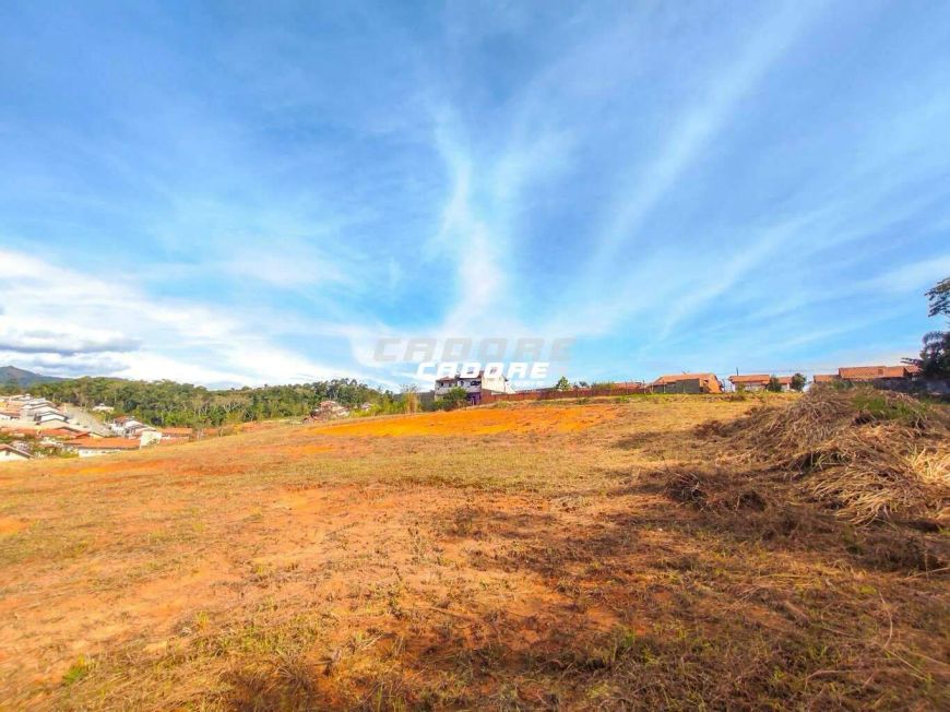 ÓTIMA OPORTUNIDADE EM INDAIAL - Terreno com 6 mil m² I Cadore Imóveis