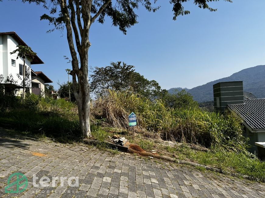 AMPLO TERRENO, em rua calçada e sem saída.