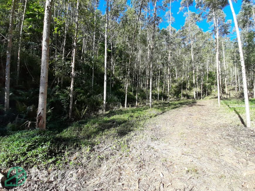 Sitio, com Água (córrego no rumo esquerdo), Escriturado, Próximo ao centro de Indaial.