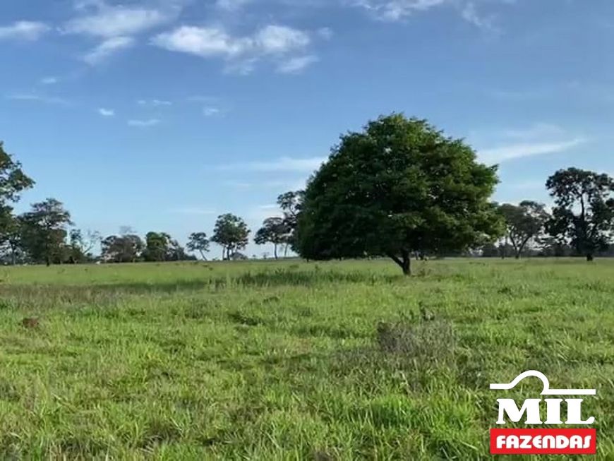 Fazenda Diferenciada - Sul de Goiás. &gt; 73 Alq. (353 Há). Toda Barro Vermelho