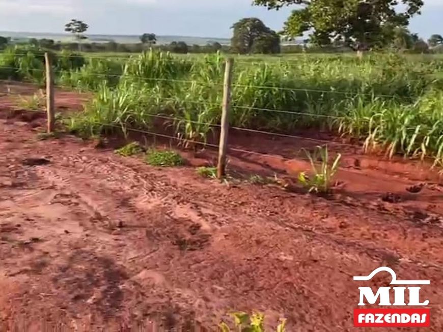 Fazenda Diferenciada - Sul de Goiás. &gt; 73 Alq. (353 Há). Toda Barro Vermelho