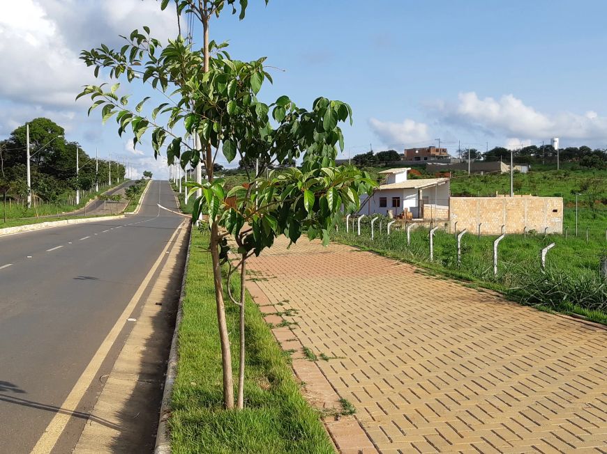 Lotes 525m2 Prontos p Construir Excelente Localização Financio por 29.050 + Mensais de 1.743