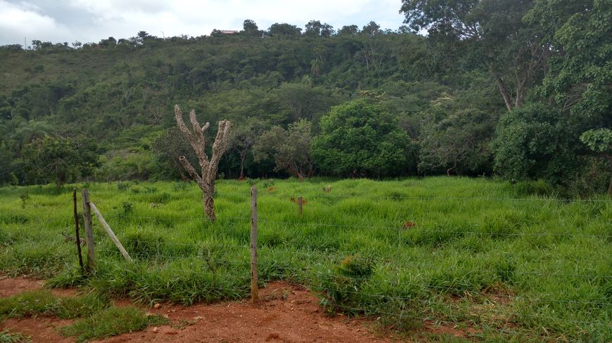 EXCELENTES LOTES com 1000mts em Lagoa Santa