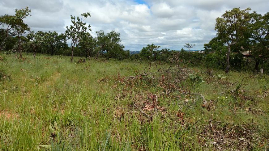 Imóvel para venda tem 1000 metros quadrados em Lagoa Mansões - Lagoa Santa - MG