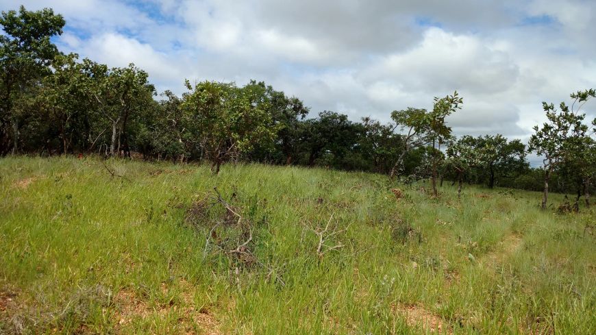 Imóvel para venda tem 1000 metros quadrados em Lagoa Mansões - Lagoa Santa - MG