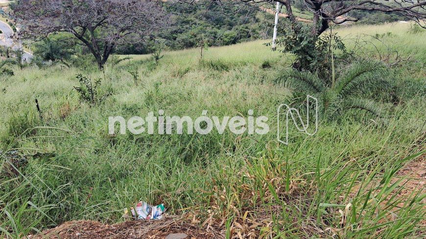 Venda Lote-Área-Terreno Nossa Senhora de Fátima Lagoa Santa