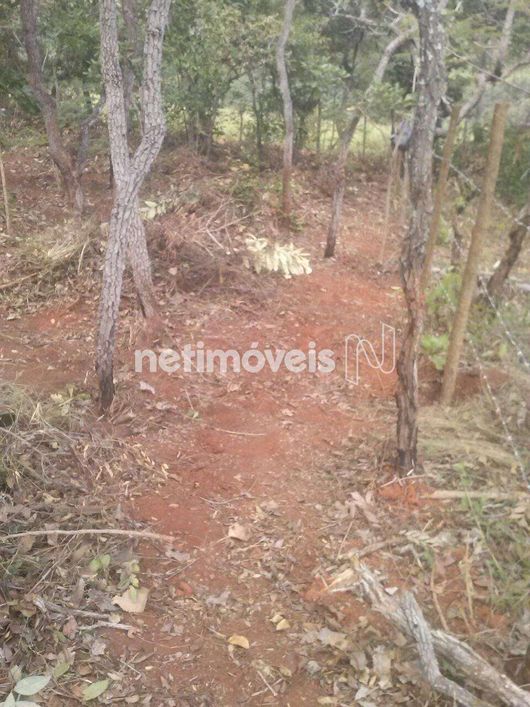 Venda Lote-Área-Terreno Shalimar Lagoa Santa